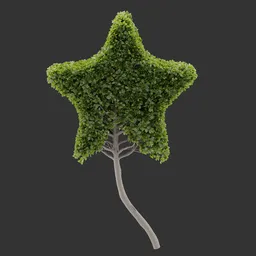 Topiary Star Tree