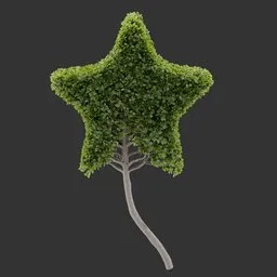 Topiary Star Tree