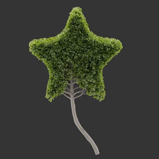 Topiary Star Tree Plant