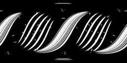 Black White Studio