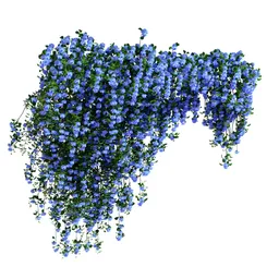 Climbing Roses Wall Grow Top Blue