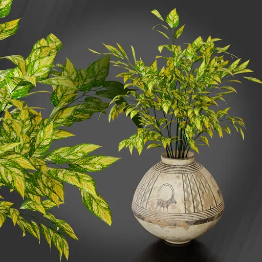 Historical Vase
