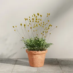Yellow Wildflower Pot