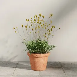 Yellow Wildflower Pot