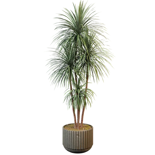 Realistic 3D palm plant model with modern pot, optimized for Blender rendering in interior settings.
