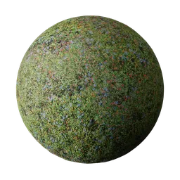 4K PBR Grass Flowers Clovers material with high customization for Blender 3D textures.