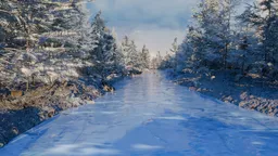 Frozen River Path Forest Scene