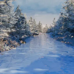 Frozen River Path Forest Scene