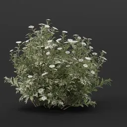 Realistic 3D model of a lush Flower Aster Medium, ideal for game assets and 3D garden scenes, customizable material node included.