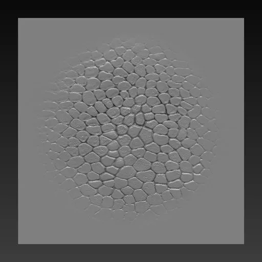 NS Reptile skin scales flat