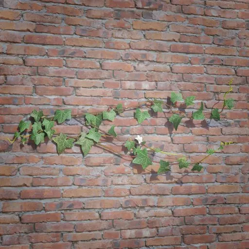 High-resolution 3D ivy model for realistic vegetation in virtual gaming environments and CG architecture with detailed textures.