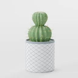 Detailed Blender 3D model of tiered cactus plant in a gray patterned pot, perfect for indoor nature scene renderings.