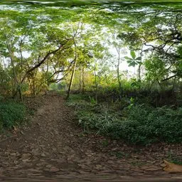 River Walk 1