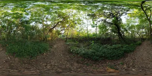 River Walk 1