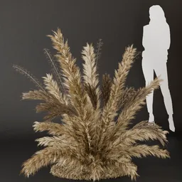 SJ- Pampas Chic Design Bush