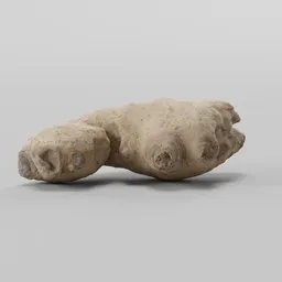 Detailed 3D ginger model, high-resolution texture, suitable for Blender photorealistic rendering.