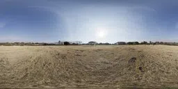 Dry Field