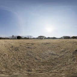 Dry Field