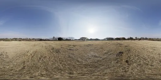 Dry Field