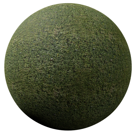 Thumbnail: Grass dry