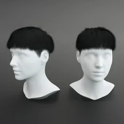Hair