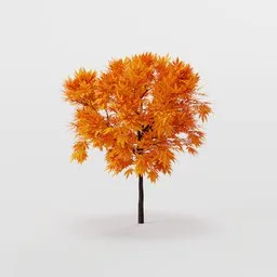 Realistic golden maple tree 3D model with vibrant orange foliage suitable for Blender rendering and animation.