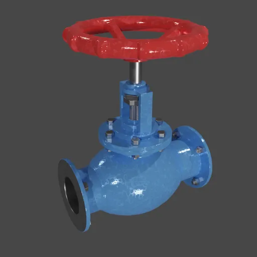 Globe Valve