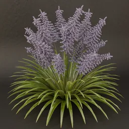 SJ-Moonveil Shadow Shrub
