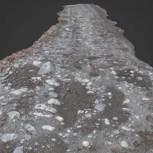 Rocky Ground Dirt Road