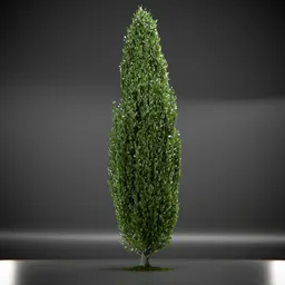 Tree Columnar European Animated
