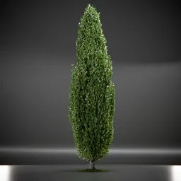 Tree Columnar European Animated