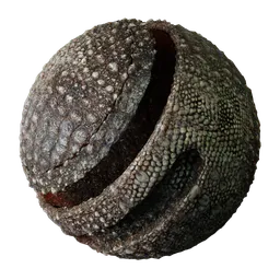 Reptile Skin - Lizard Scales Rough