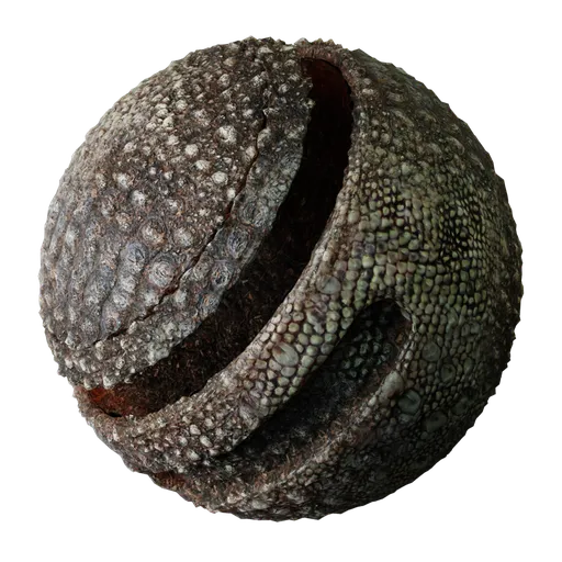 Reptile Skin - Lizard Scales Rough