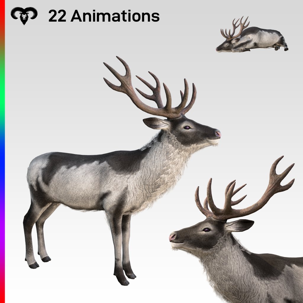 Deer Animated | Mammals models | Blendkit