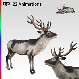 Deer Animated