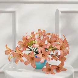 Orange Lily