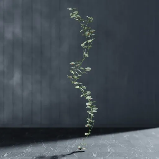 "Realistic 3D modeled climbing Caladium garland with editable stem and geometry nodes, perfect for Blender indoor nature scenes."
