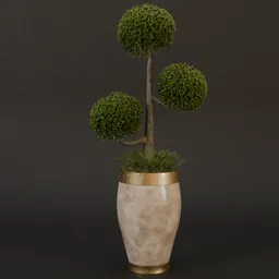 SJ-gold exterior pot