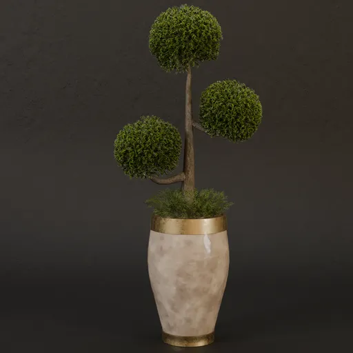 SJ-gold exterior pot