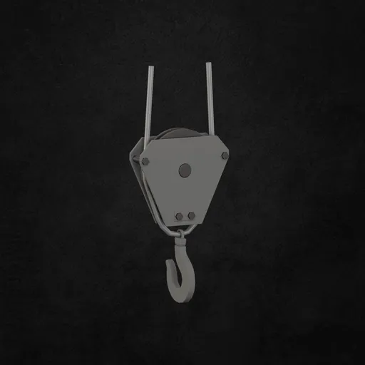 Crane Hook