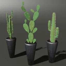 Detailed 3D rendered cactus models in pots for Blender, perfect for indoor digital scenes.