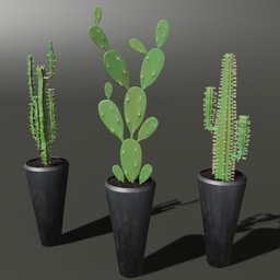 "High-quality 3D models of indoor cactus plants in black pots, perfect for nature and indoor scenes in Blender 3D. Includes three different types of cacti with stylized textures and posable figures. Ideal for adding a unique touch to your in-game 3D models."
