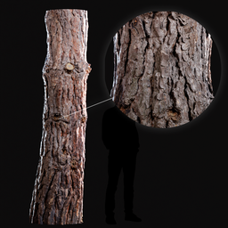 "Highly detailed 3D model of an Old Pine Trunk for Blender 3D, with 8k textures. Perfect for naturalistic scenes and product rendering. Designed with Autodesk 3D rendering."