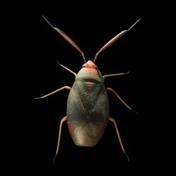 Realistic Bug
