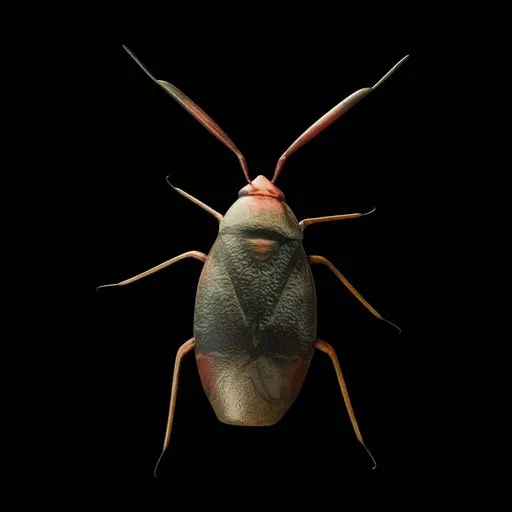 Realistic Bug