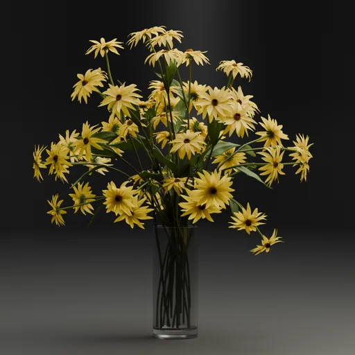Yellow Daisy