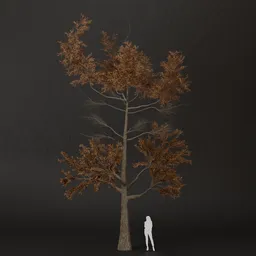 SJ-Broken Light Pine Tree