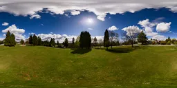 City Park Suburbs Sunny Day