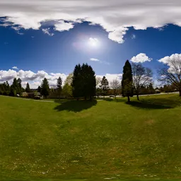 City Park Suburbs Sunny Day