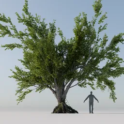 Detailed 3D model showcasing a lush tree with a realistic trunk and leafy branches, next to a human silhouette for scale.